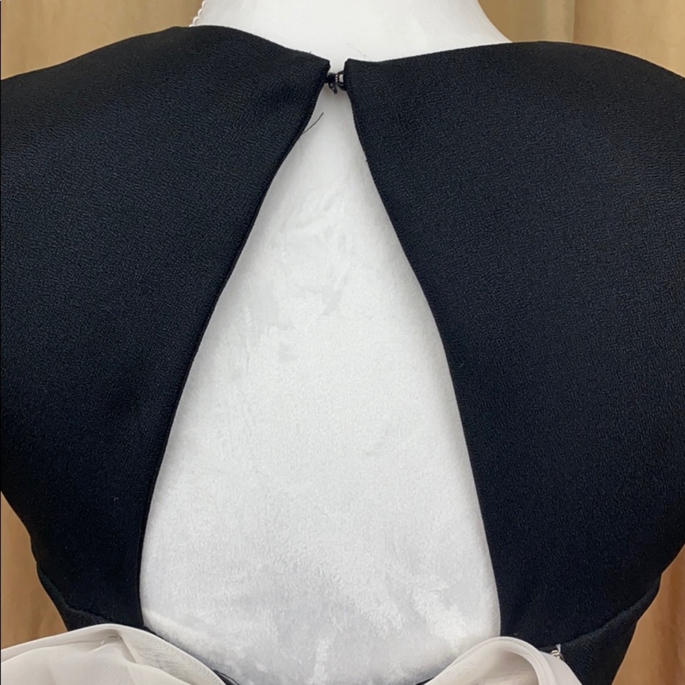 Black and Cream Evening gown - Picture 5 of 15